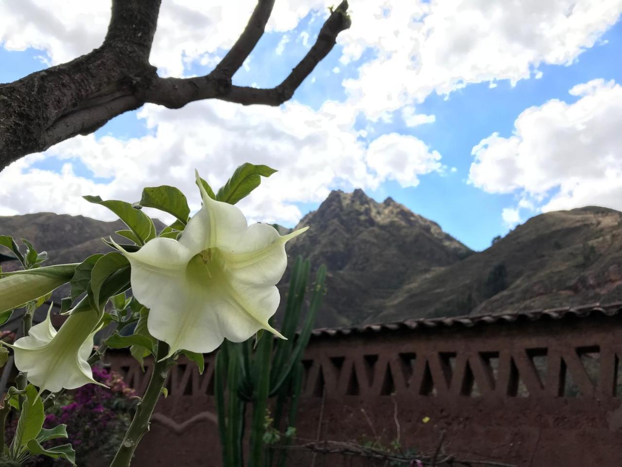 Pisac Inca Guest House Exterior photo